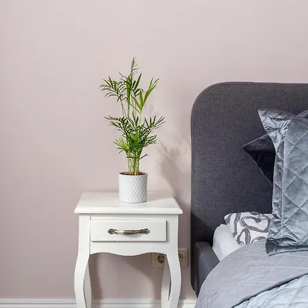 Stylish Latvian Classic 1-bedroom Near Center, Parks & Public Transport Links Рига