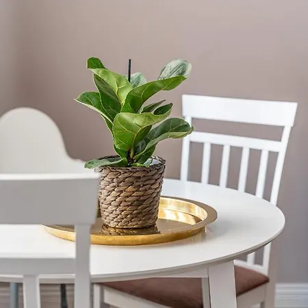 Апартаменти Stylish Latvian Classic 1-bedroom Near Center, Parks & Public Transport Links Рига