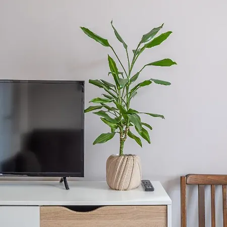 Апартаменти Stylish Latvian Classic 1-bedroom Near Center, Parks & Public Transport Links