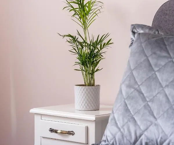 Stylish Latvian Classic 1-bedroom Near Center, Parks & Public Transport Links * Riga