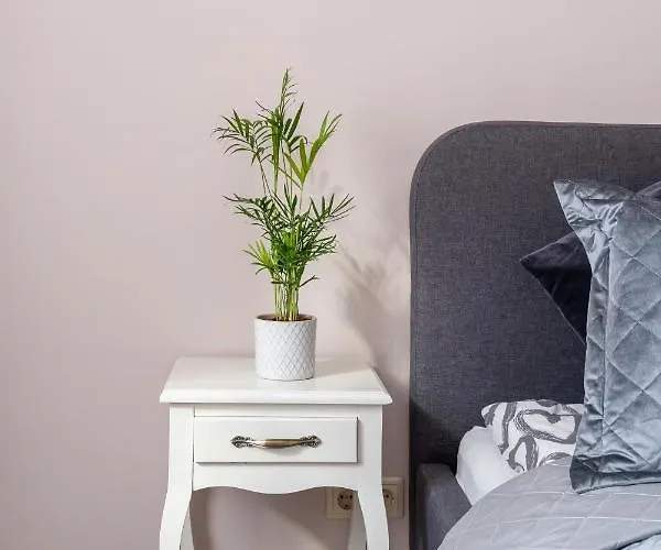 Stylish Latvian Classic 1-bedroom Near Center, Parks & Public Transport Links Riga