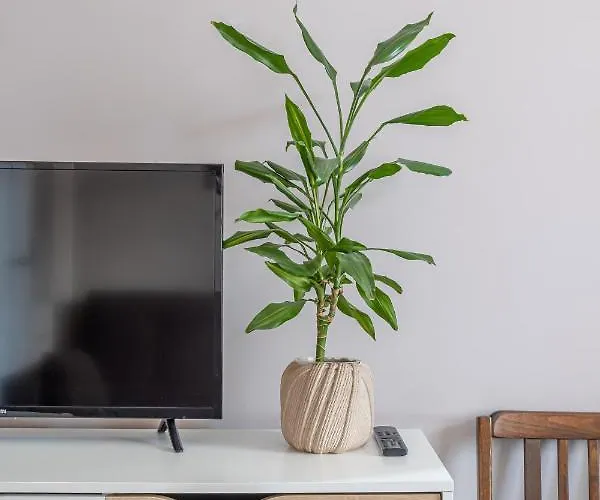 Apartment Stylish Latvian Classic 1-bedroom Near Center, Parks & Public Transport Links