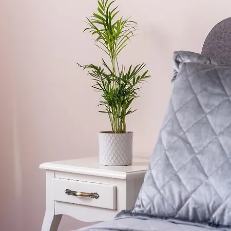 Stylish Latvian Classic 1-bedroom Near Center, Parks & Public Transport Links * Riga